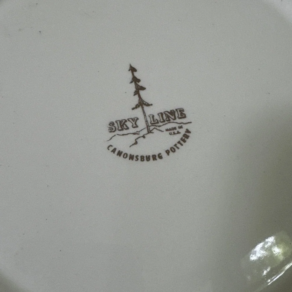 Vtg Canonsburg 9½